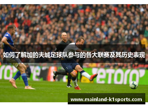 如何了解加的夫城足球队参与的各大联赛及其历史表现