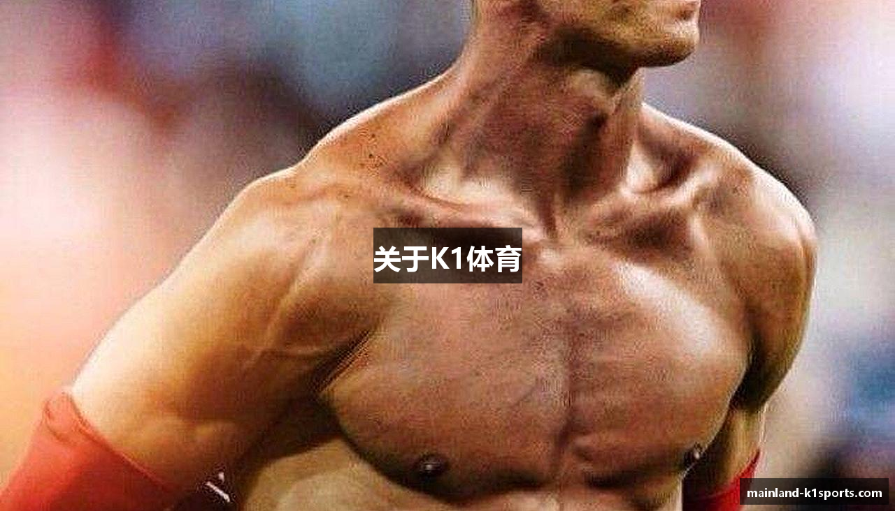 关于K1体育